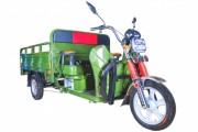 Электротележка грузовая (трицикл) RUTRIKE Алтай 2000 60V1500W Светло-зеленый-1959
