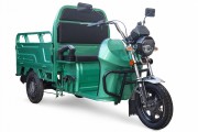 Электротележка грузовая (трицикл) RUTRIKE Вояж К1 1200 60V800W Зеленый-2244